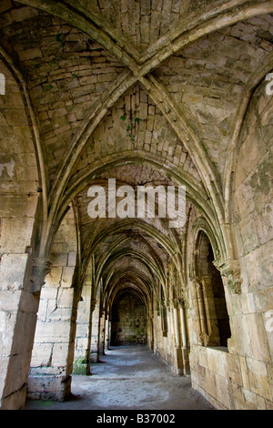 Corridoio con soffitto a volta all'interno di Crak Des Chevaliers o Al Hosn Castello dei Crociati in Siria Foto Stock