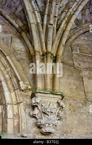 Corridoio con soffitto a volta all'interno di Crak Des Chevaliers o Al Hosn Castello dei Crociati in Siria Foto Stock