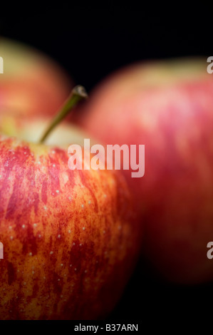 Malus domestica. Royal Gala mele contro uno sfondo nero Foto Stock