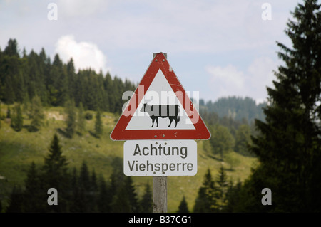 Austria Austria Superiore Gosau villaggio nelle montagne del Dachstein un cartello stradale attenzione contro il roaming vacche Foto Stock