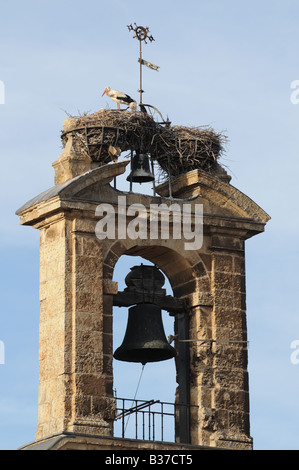 Unione delle cicogne bianche Ciconia ciconia nidificazione sulla torre campanaria campanile di San Martin Valladolid Spagna Foto Stock