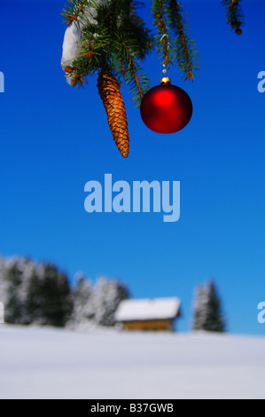 Pallina e fir cono su un albero di Natale al di fuori in un paesaggio innevato Foto Stock