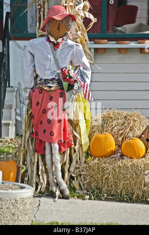 Signora giovane strega di Halloween Foto Stock