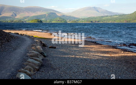 Sera La luce del sole che cade sul boulder disseminata riva occidentale del Derwent Water vicino Hawes fine Parco Nazionale del Distretto dei Laghi Cumbria Foto Stock