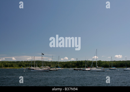 Pesce di ancoraggio Creek Wisconsin Foto Stock