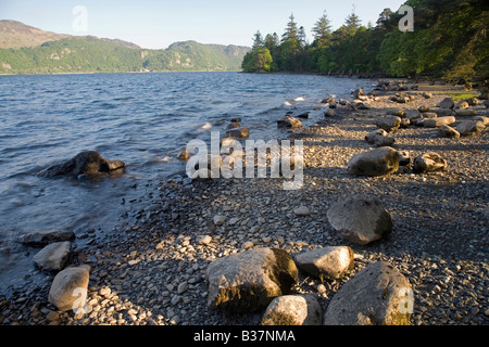 Sera La luce del sole che cade sul boulder disseminata riva occidentale del Derwent Water vicino Hawes fine Parco Nazionale del Distretto dei Laghi Cumbria Foto Stock