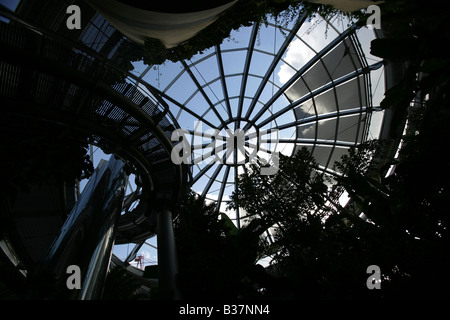 Città di Sunderland, Inghilterra. Stagliano vista interna della tomaia la visualizzazione galleria di Sunderland Museum e Giardini Invernali. Foto Stock