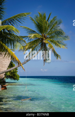 Swing corda sull'Atollo di Ari Sud alle Maldive nei pressi di India Foto Stock