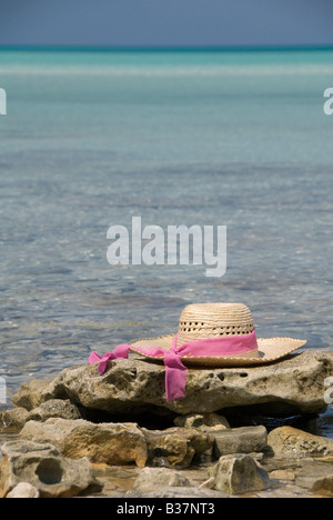 Seacape con un cappello di paglia Foto Stock