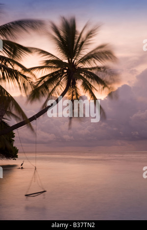 Swing corda al tramonto sull'Atollo di Ari Sud alle Maldive nei pressi di India Foto Stock
