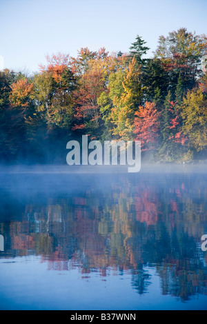 Gli alberi si riflette sul lago Foto Stock