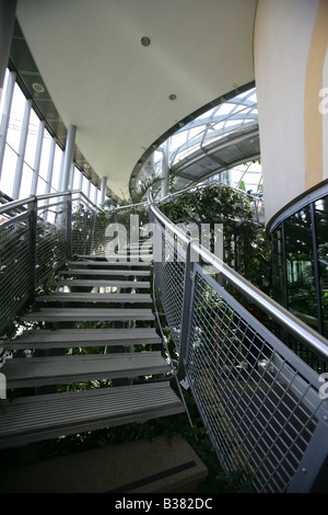 Città di Sunderland, Inghilterra. Vista interna di scale e di visualizzazione superiore galleria di Sunderland Museum e Giardini Invernali. Foto Stock