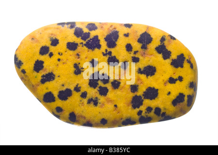 Giallo diaspro dalmata tumblestone Foto Stock