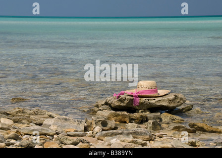 Seacape con un cappello di paglia Foto Stock