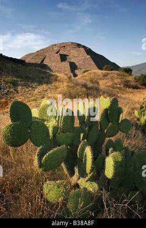 La Piramide della Luna nell'antica città di Teotihuacan con grandi nopal Opuntia cactus nel deserto vicino a Città del Messico. Foto Stock