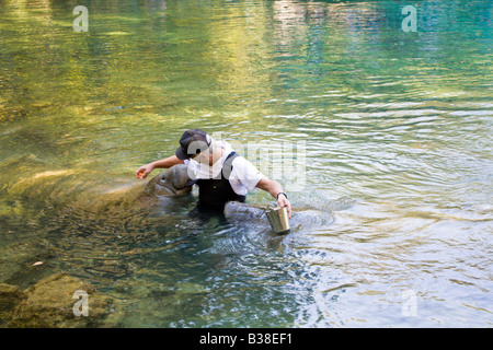 Man mano i lamantini alimentazione a Homosassa Springs State Wildlife Park, Florida Foto Stock