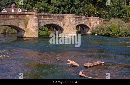 Holme Bridge (ponte packhorse) oltre il fiume Wye, Bakewell, Derbyshire, Regno Unito Foto Stock