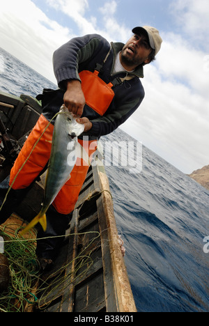 CHL Cile Arcipelago Juan Fernandez Isola di Robinson Crusoe 05 Pesca 2007 Foto Stock