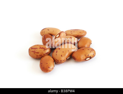 Fagioli Pinto isolati su sfondo bianco Foto Stock