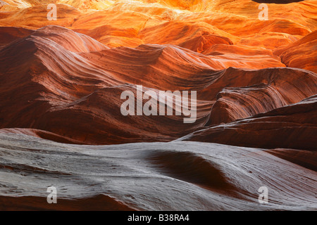 La parete del canyon in daino, Gulch Paria Canyon deserto Foto Stock