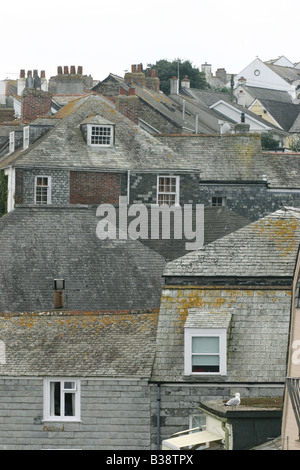 Seagull sul tetto di casa a Padstow, Cornwall, Regno Unito Foto Stock