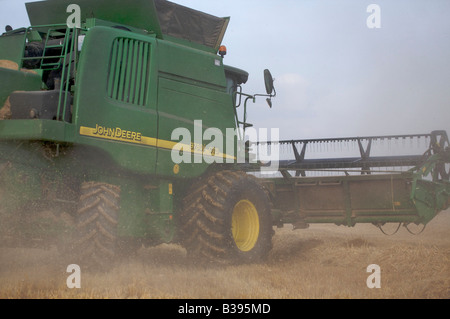 Mietitrebbia John Deere la raccolta di frumento invernale in condizioni polverose Foto Stock