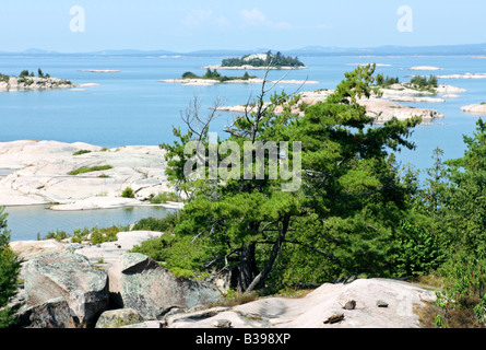 Vento spazzata di alberi di pino sulla roccia di granito isola tra trenta mila isole in Georgian Bay Ontario Foto Stock