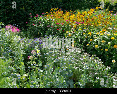 Fiore di ragno (tarenaya hassleriana syn. cleome hassleriana), papavero (Papaver somniferum), l'amore-in-un-MIST (nigella damascena), comune zinnia Foto Stock