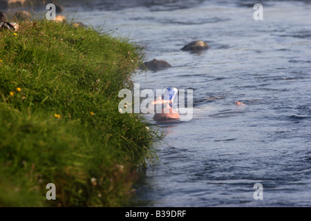 Un uomo bagni in Hveragerdi hot springs, Islanda. Foto Stock