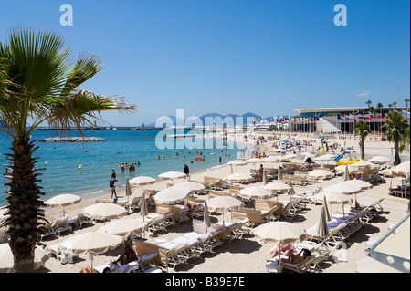 Spiaggia al di fuori del Palais des Festivals, Promenade de la Croisette, Cannes, Cote d Azur, Provenza, Francia Foto Stock