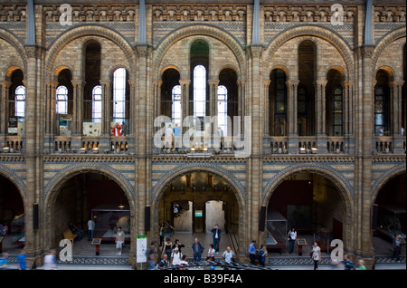 La sala principale del Museo di Storia Naturale di Londra Foto Stock