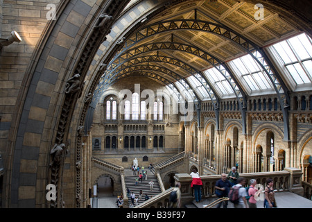 La sala principale del Museo di Storia Naturale di Londra Foto Stock