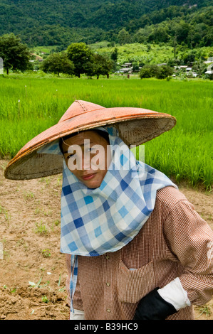 Un agricoltore tailandese lavora in risaie Foto Stock