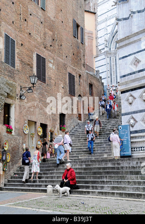 I visitatori a Siena, Toscana, Italia Foto Stock