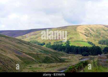 Il trogolo della Bowland e Hareden Brook nella foresta di Bowland in Nord Lancashire Foto Stock