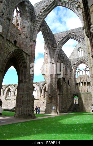 Tintern Abbey, Tintern, Monmouthshire, Wales, Regno Unito Foto Stock