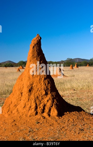 Un grande Termite Mount in Namibia Foto Stock