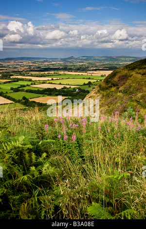 Roseberry Topping da Carlton Bank guardando attraverso Stokesley pianura Nord Yorkshire Foto Stock