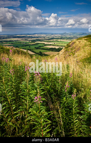 Roseberry Topping da Carlton Bank guardando attraverso Stokesley pianura Nord Yorkshire Foto Stock