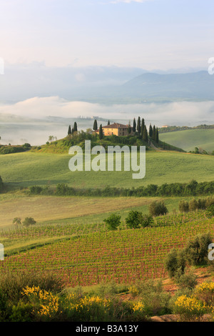 Vista sulla valle verso Belvedere, "Val d'Orcia", Toscana, Italia Foto Stock