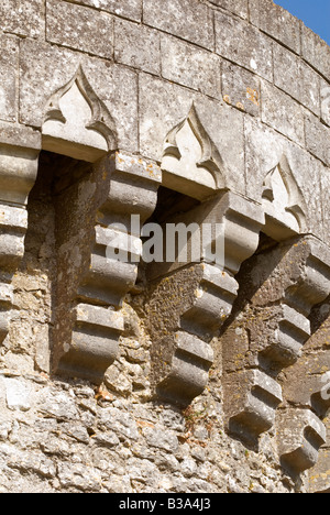 Bridoré castello fortificato, Indre-et-Loire, Francia. Foto Stock