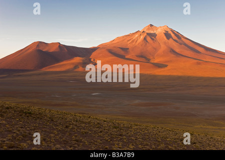 Sud America, Cile, Antofagasta regione, il deserto di Atacama, los Flamencos riserva nazionale, altiplano, Cerro Miniques Foto Stock