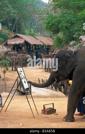 Thailandia Chiang Mai, il Campo degli Elefanti di Mae Sa, elefante visualizza, elefante dipinto con tronco Foto Stock