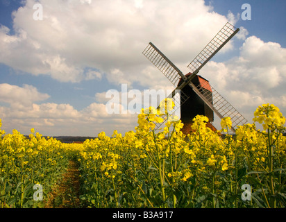 Un basso angolo di visione di un mulino a vento con vele in un campo di colza su una soleggiata giornata estiva con un brano in esecuzione da Foto Stock