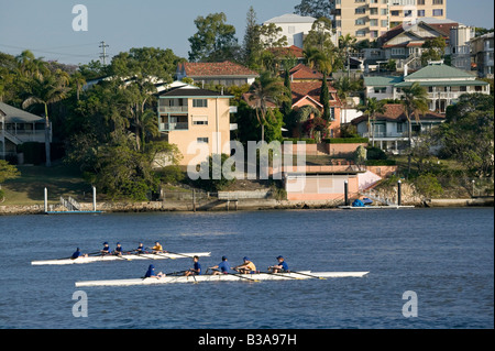 Australia, Queensland, Brisbane, nuova azienda, vogatori sul Fiume Brisbane Foto Stock