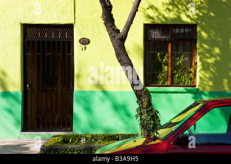 Il Cile, Santiago, colorfully housefronts dipinta nel cuore del quartiere trendy di Barrio Bellavista Foto Stock