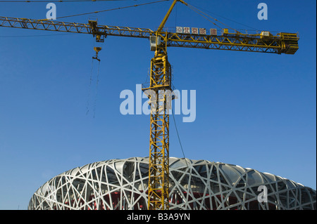Cina, Pechino Stadio Nazionale (da Herzog & de Meuron), il luogo per i Giochi Olimpici di Pechino 2008 Foto Stock