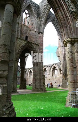 Tintern Abbey, Tintern, Monmouthshire, Wales, Regno Unito Foto Stock