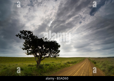 Strada di campagna in una tempesta Foto Stock