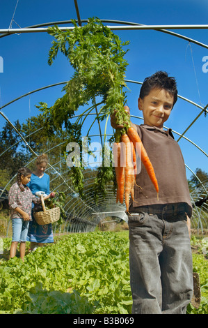 Ispanico boy holding mazzetto di carote organico Foto Stock